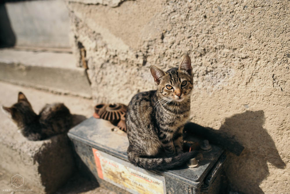Fotografiranje poroke Ljubljenski Grad Gostilna Mihovec