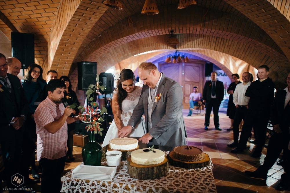Fotografiranje poroke Gora pod Lipo