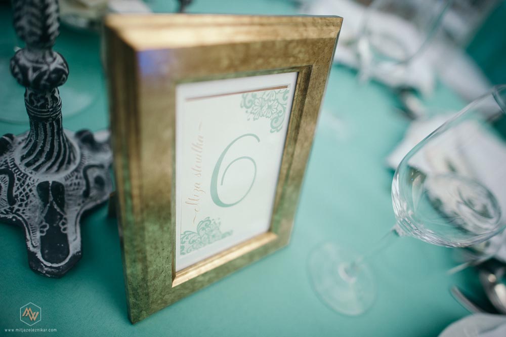 Fotografiranje poroke Žička Kartuzija Gastuž Penzion Kračun