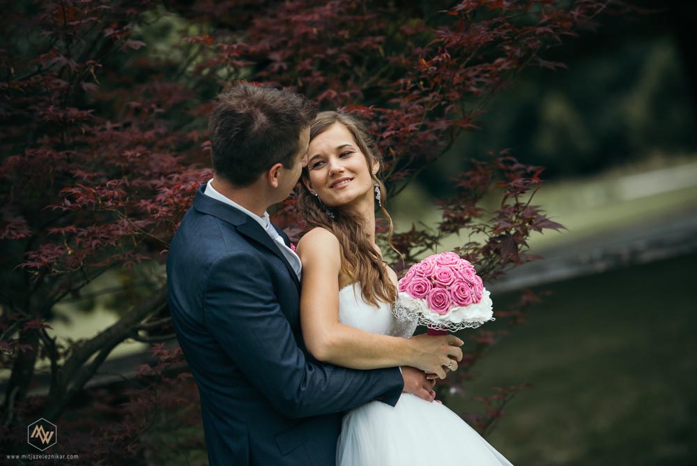 Fotografiranje poroke Volčji Potok Gostilna Pri Plčaninskem Orlu